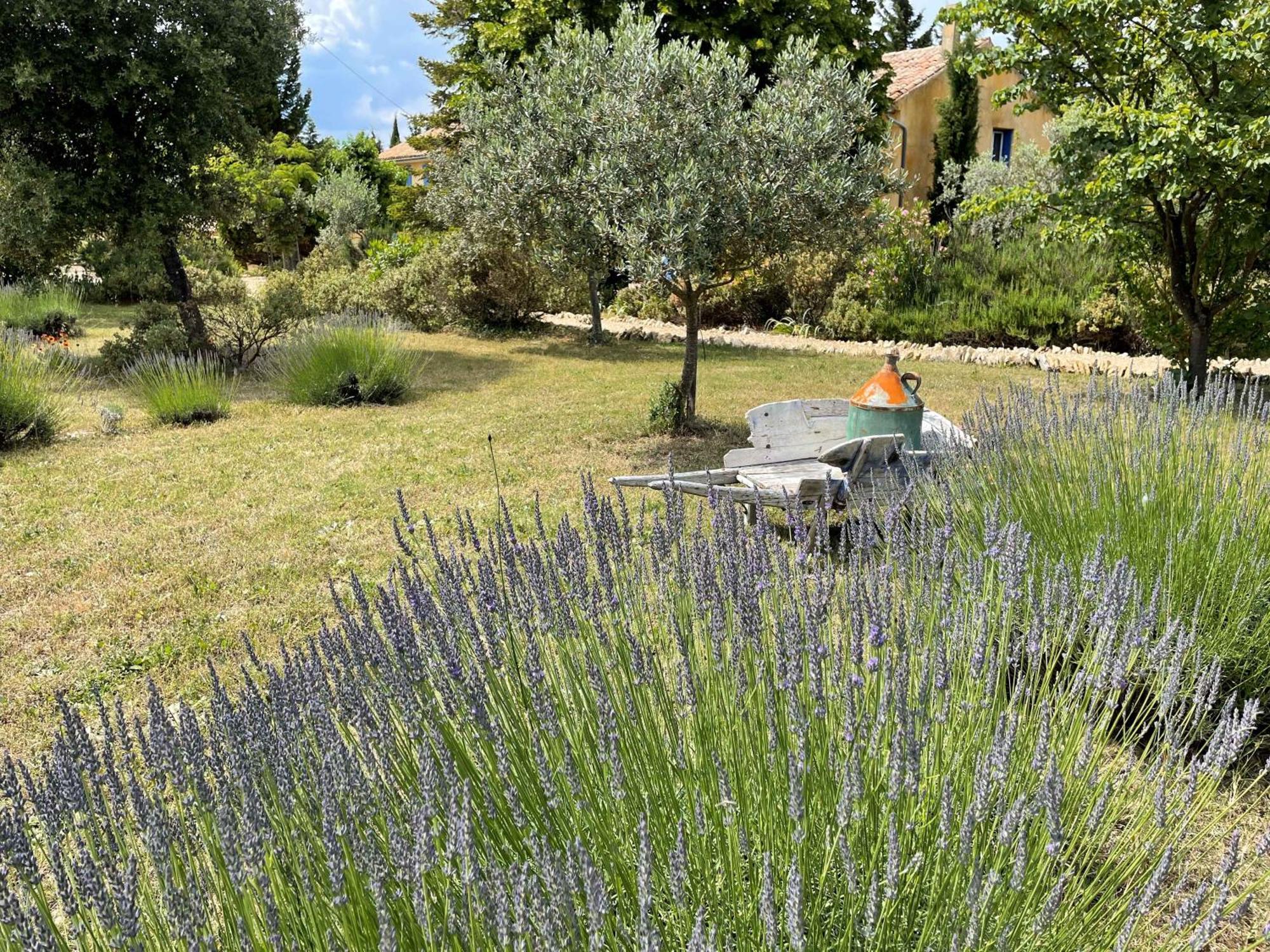 Mas Des Lavandes - 3 De Charme Au Calme Avec Grande Piscine En Drome-provencale Holiday home